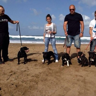 canarias50lasp1's profile picture. 