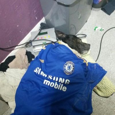 blueboymatt53's profile picture. 