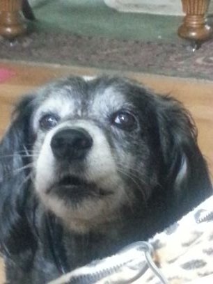 smong109's profile picture. 