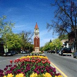 FairTradeNotL's profile picture. Working toward the goal of a Fair Trade Town of Niagara on the Lake