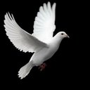 erhan varli (@05324241389) Twitter