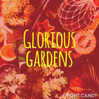 agloriousgarden's profile picture. Exotic succulentry, art gallery and creative gift shop