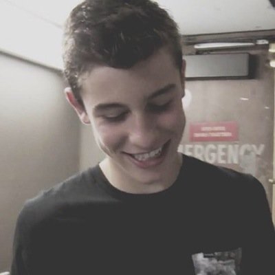 i'd rather have shawn mendes between my thighs than a gap