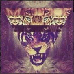Instagram:_pam213 لا إله إلا الله محمد رسول الله ♥