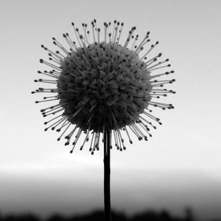 Take it all in, this is the only life you get.