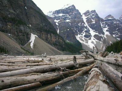 ManstaAsk7KP's profile picture. Pak sar Zameen ka gumnaam Sipahi