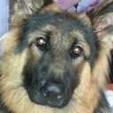 Patty Barlow - @PattyBarlow67 - Twitter