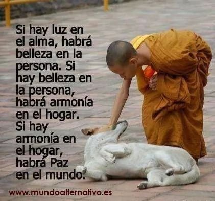 Fecha nacimiento: 02-10-1966. Medico Veterinario.  Profesora de Unesur.