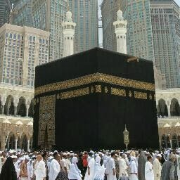 AnterAnba's profile picture. 