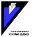 Bryan Viking Band (@bryanvikingband) Twitter profile photo