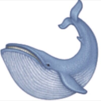 SASSY WHALE ALL THE WAY✌️