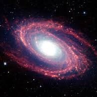 bijyakuzuki's profile picture. 女性の脚、足が大好きです！触ったり、舐めたりしてみたいです！