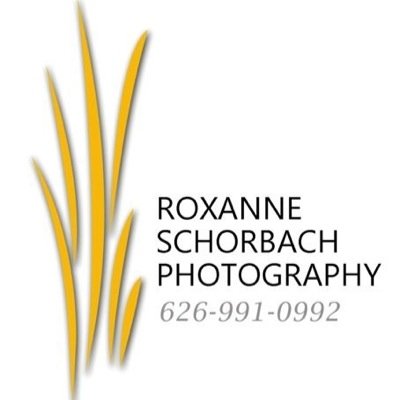 Event photographer.  I am amazed by the world and love to travel. A disaster volunteer with the American Red Cross since 1986. Opinions expressed are my own.