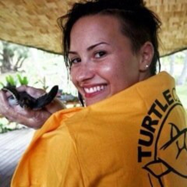 all4demiley's profile picture. My alarm clock this morning was the sounds of my Brazilian Lovatics from outside my hotel.. I instantly woke up with a smile on my face