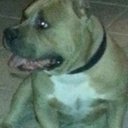 David Basa - @davidbasa21 - Twitter