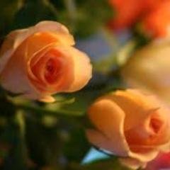 2_shsh1's profile picture. نَكتِبُ اَحْلامُنَا وَنَحنُ نَعلمُ بِأنَ الكِتَابة ليسَتْ سَبيلاً لِتحقِيقهَا..!! وَلكِنْ اَملُ مَكتُوبْ خيرٌ مِن اَلمُ مَكبُوتْ...