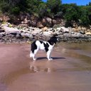 Karla Clarke - @smville13 - Twitter