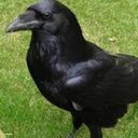 ally hyde-nawell - @astroduck76 - Twitter