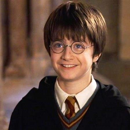 Harry Potter es un estilo de vida.