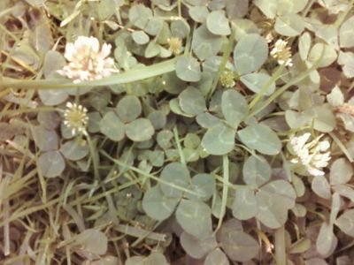 2As_mom's profile picture. 