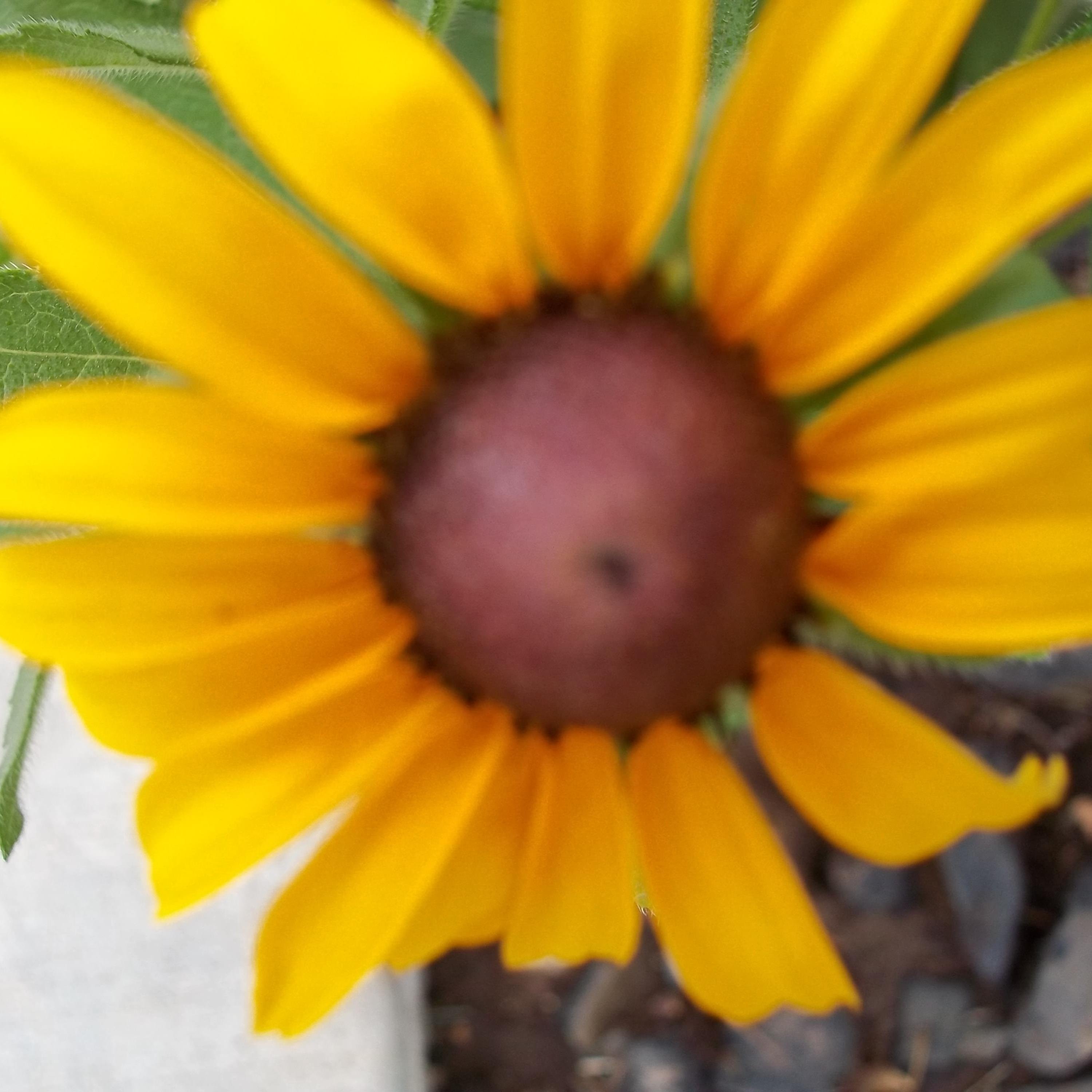 JandyMcKlane's profile picture. 