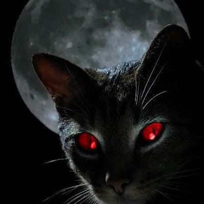 I'm Mina, The Potion and Medicien cat for Macavity. My heart belongs to @SmoothPascal and I'm the pet cat of @The10thDocCares