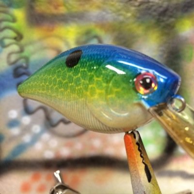 SJLures1's profile picture. 