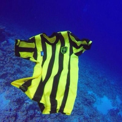 msiharialmotiri's profile picture. لا إله الا أنت سبحانك إني كنت من الظالمين