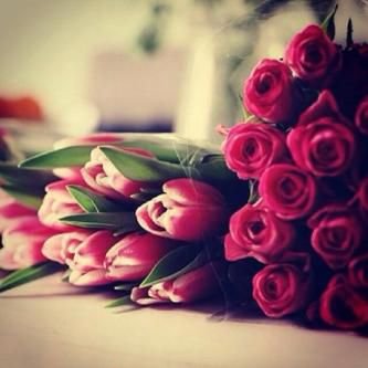‏فيني شموخ (ن) غارسه شايبي غرس / ومهما يجور الوقت مالان راسي ♥