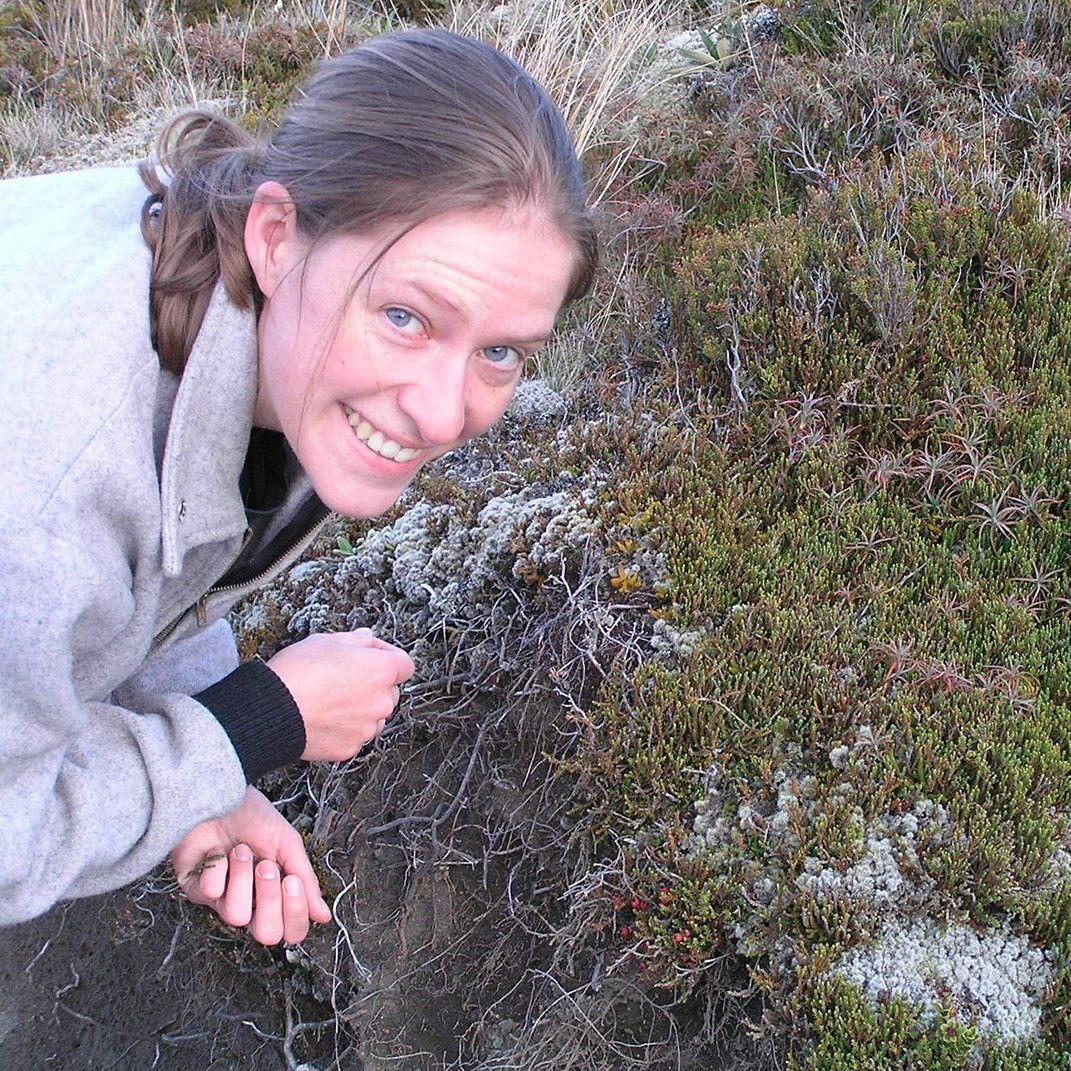 SarahTheWyse's profile picture. Forest ecologist, tramper, rock climber, cake baker.
