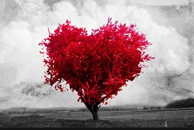 O amor não é uma opção é uma decisão