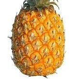 Fuzzy_Butkus's profile picture. 