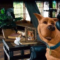Scooby Doo (@sleuthscooby) 's Twitter Profile