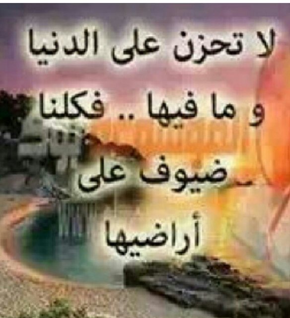 رحم الله من تغافل لأجل بقاء الود ؛ ودوام المحبة وستر الزلة : ما أحوجنا  إلى محبة صادقة .. وقلوب حنونة .. تسامحنا إذا أخطأنا .. وتعذرنا إذا قصرنا .. وتدعو لنا إذ