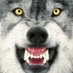 wolfcrew4life (@wolfcrew4life) Twitter profile photo