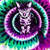 MasterEmry's profile picture. Editor