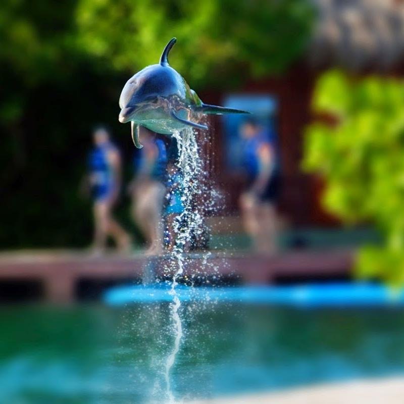 FishWater775's profile picture. fishing go go!