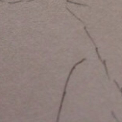 LUSTKILLZZ's profile picture. 