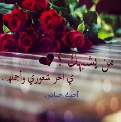 ‏‏‏‏‏‏‏_‏: جَميلة هَي احَاديثنا حَين نُنهيها ، ب أحُبگ      .”