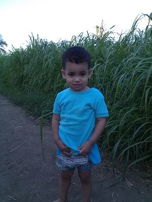 AnaswaelWael's profile picture. 