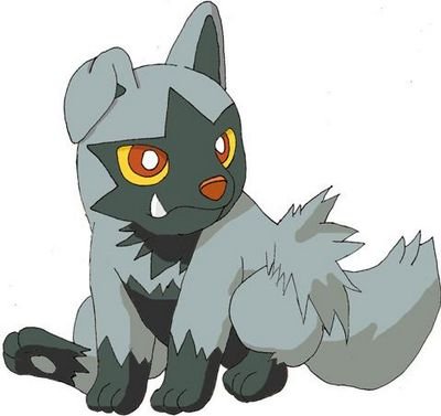Hi i'm a poochyena and i'm a pokemon #Male #ihaveatrainer  #Single