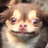ナオキ 自由人 (@nao0417get) 's Twitter Profile