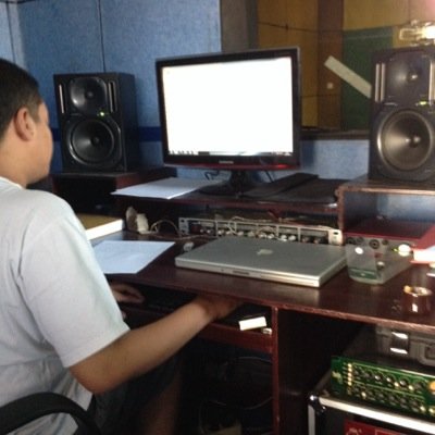 Musician/ arranger/ orchestrator