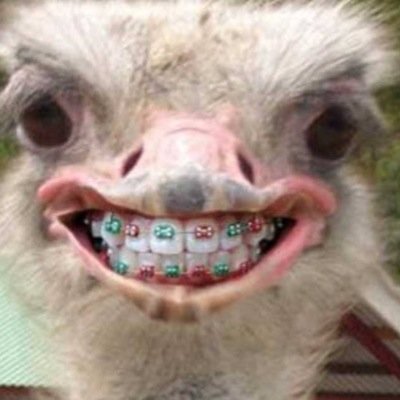 Follow for a follow back :D