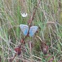 Roger Ashby - @rOgAsH40 - Twitter