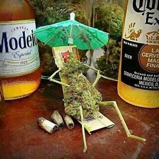 don_dodjer's profile picture. Birmz is grime all day every day ;)