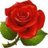 MaHi_NsN's profile image