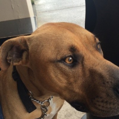 LukeSyd's profile picture. 