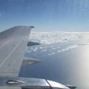 Wing🌸✌️🌱🕊️ - @Wing_to_guard - Twitter