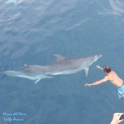 MarcoDelMare1's profile picture. 